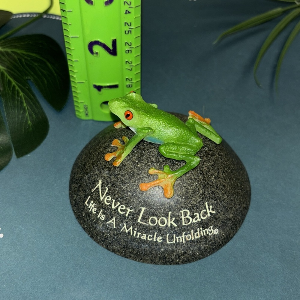Frog Decor - Picture 6 of 6